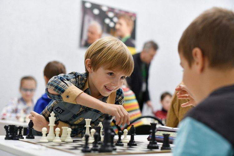 Факультатив  шахматы